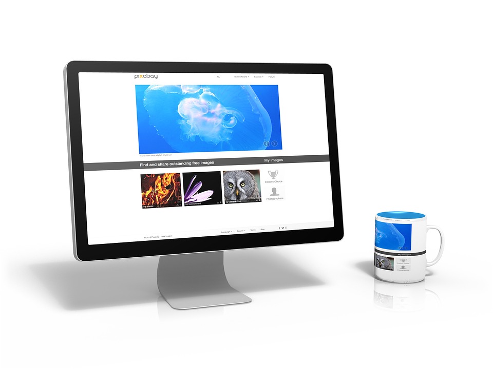 avivik infotech website design in patna